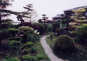 お庭の年間管理